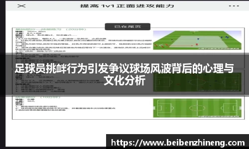 足球员挑衅行为引发争议球场风波背后的心理与文化分析